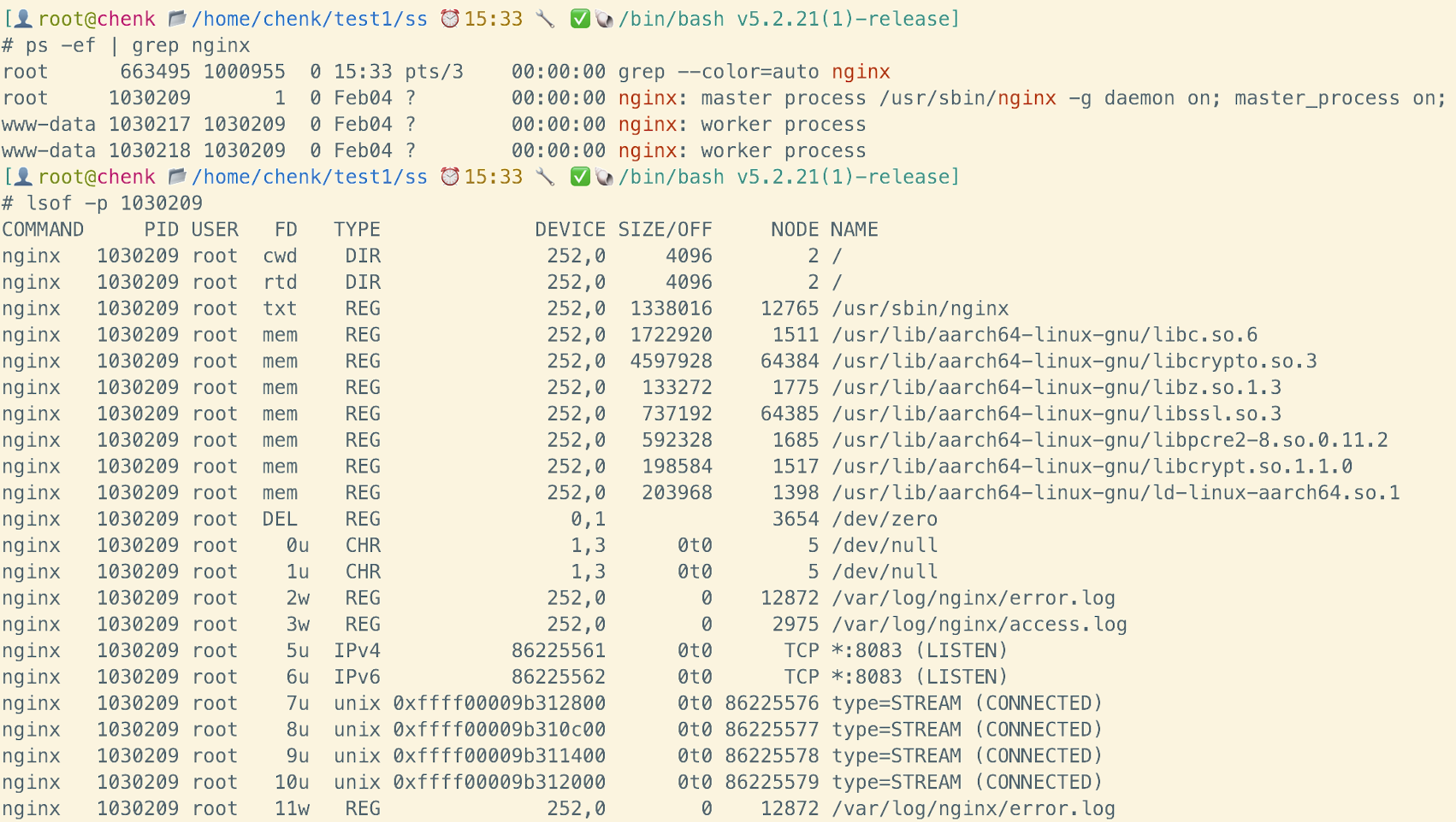 image-20250206153440327